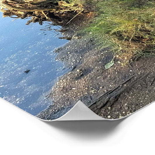 Fallen Trees Waterscape Poster (Ecke)