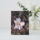 FallenBlossom Postkarte (Stehend Vorderseite)