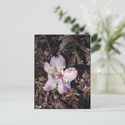 FallenBlossom Postkarte (Stehend Vorderseite)