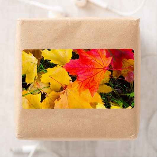 Fallende Ahorn-Blätter auf dem Boden (Insitu)