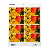 Fallende Ahorn-Blätter auf dem Boden (Vorne)