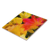 Fallende Ahorn-Blätter auf dem Boden Fliese (Seite)