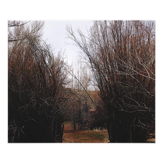 Fallende Bannacküberwucherung Fotodruck (Vorne)