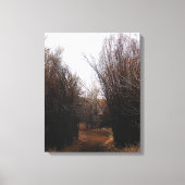 Fallende Bannacküberwucherung Leinwanddruck (Vorderseite)