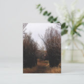 Fallende Bannacküberwucherung Postkarte (Stehend Vorderseite)