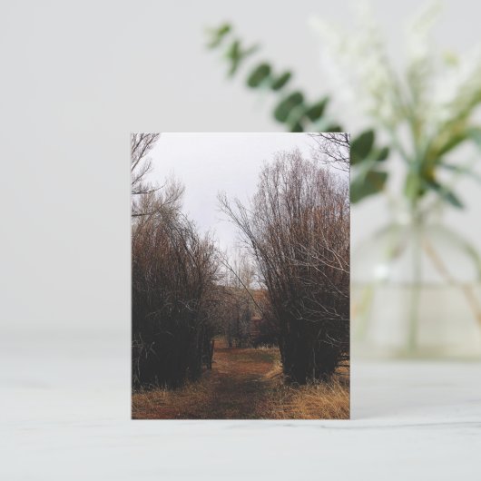 Fallende Bannacküberwucherung Postkarte (Stehend Vorderseite)