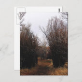 Fallende Bannacküberwucherung Postkarte (Vorne/Hinten)