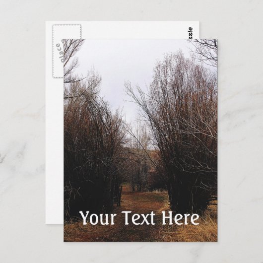 Fallende Bannacküberwucherung Postkarte (Vorne/Hinten)