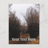 Fallende Bannacküberwucherung Postkarte (Vorderseite)