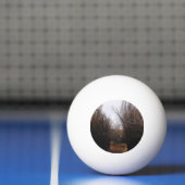 Fallende Bannacküberwucherung Tischtennisball (Netto)