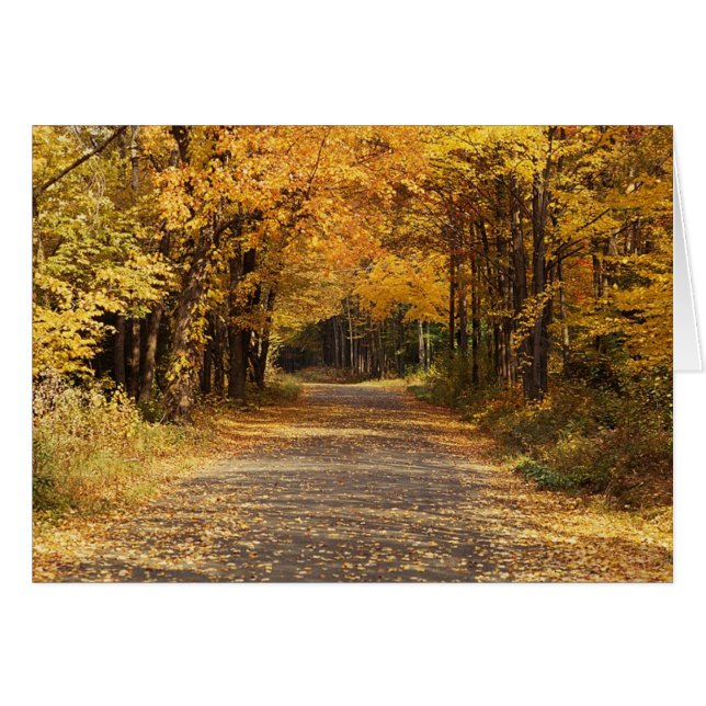 Fallende Blätter (Vorderseite (Horizontal))