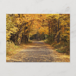 Fallende Blätter Herbst-Zuhause-Geschenke Postkarte