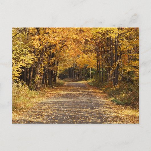 Fallende Blätter | Herbst-Zuhause-Geschenke Postkarte (Vorderseite)
