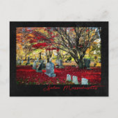 Fallende Blätter in Salem, Massachusetts Postkarte (Vorderseite)