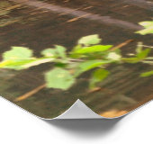 Fallende Frühjahrsmühle Poster (Ecke)