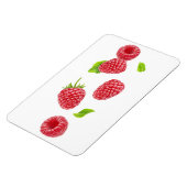 Fallende Himbeeren Magnet (Linke Seite)