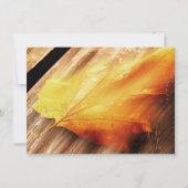 Fallende Leaf-Aufforderung Einladung (Vorderseite)