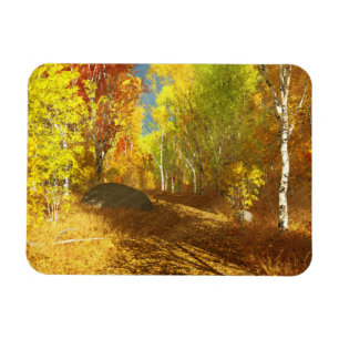 Fallende leichte, flexible Magnet