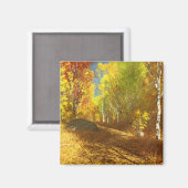 Fallende Leuchtfläche Magnet (Vorderseite/Rückseite)