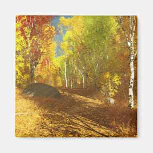 Fallende Leuchtfläche Magnet