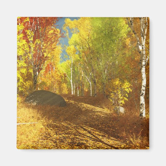 Fallende Leuchtfläche Magnet (Vorne)