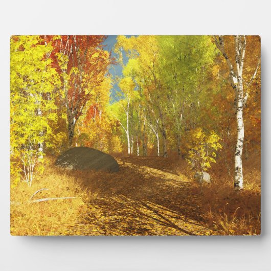 Fallende Lichtbildfläche Fotoplatte (Vorderseite)