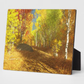 Fallende Lichtbildfläche Fotoplatte (Seite)