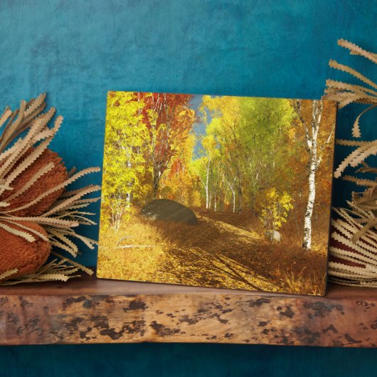 Fallende Lichtbildfläche Fotoplatte (Seite)