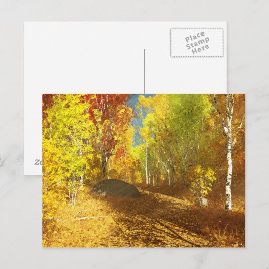 Fallende Lichtpostkarte Postkarte (Vorne/Hinten)