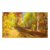 Fallende Light Foto Print (Vorne)