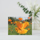 Fallende Mohnkarte Postkarte (Stehend Vorderseite)