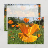 Fallende Mohnkarte Postkarte (Vorne/Hinten)