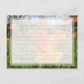 Fallende Mohnkarte Postkarte (Rückseite)