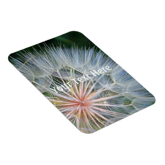 Fallende neue Wünsche Magnet (Rechte Seite)