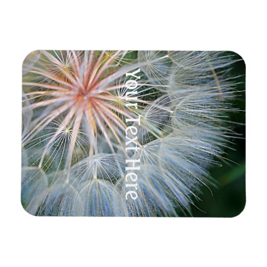 Fallende neue Wünsche Magnet (Horizontal)