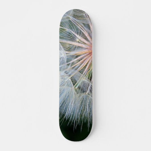 Fallende neue Wünsche Skateboard (Vorne)