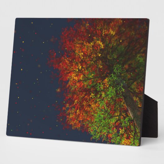 Fallende Rainbow Picture Plaque Fotoplatte (Seite)