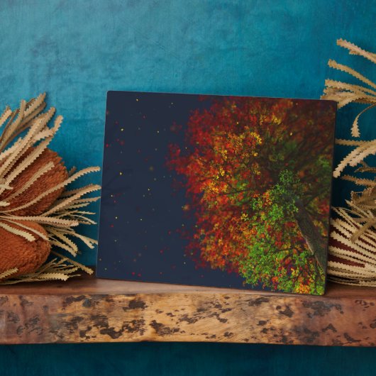 Fallende Rainbow Picture Plaque Fotoplatte (Seite)