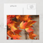 Fallende Reds Postkarte (Vorne/Hinten)