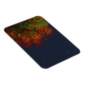 Fallende Regenbogen Flexible Magnet (Rechte Seite)