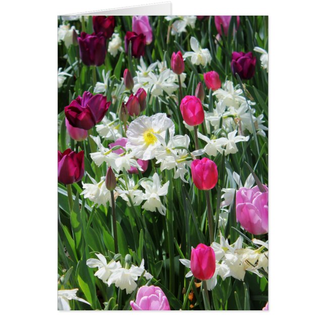 Fallende romantische Frühlingsvormitte (Vorne)