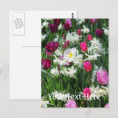 Fallende romantische Frühlingsvormitte Postkarte (Vorne/Hinten)