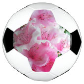 Fallende rosa Blumenblüten Fußball (Gedreht)