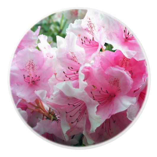 Fallende rosa Blumenblüten Keramikknauf (Vorderseite)