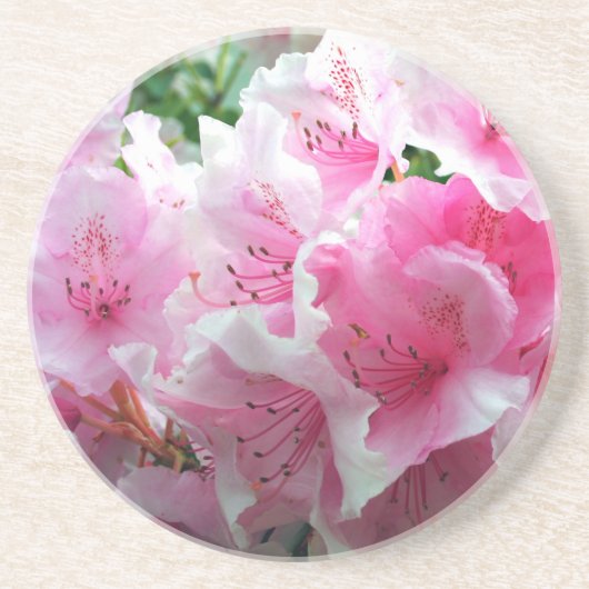 Fallende rosa Blumenblüten Untersetzer (Vorne)