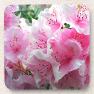 Fallende rosa Blumenblüten Untersetzer