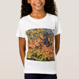 Fallende Rusty Sunset Stones T-Shirt