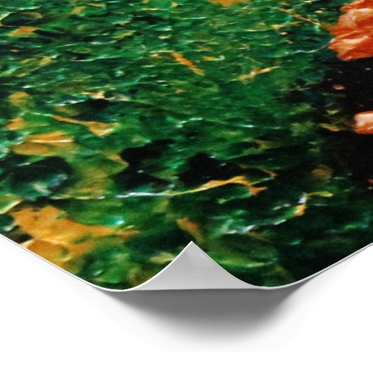 "Fallende Sterne" Poster (Ecke)