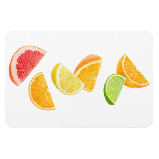 Fallende Zitrusscheiben Magnet (Horizontal)