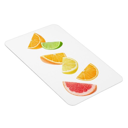 Fallende Zitrusscheiben Magnet (Rechte Seite)